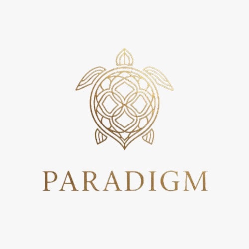 Paradigm Injection's Campaign