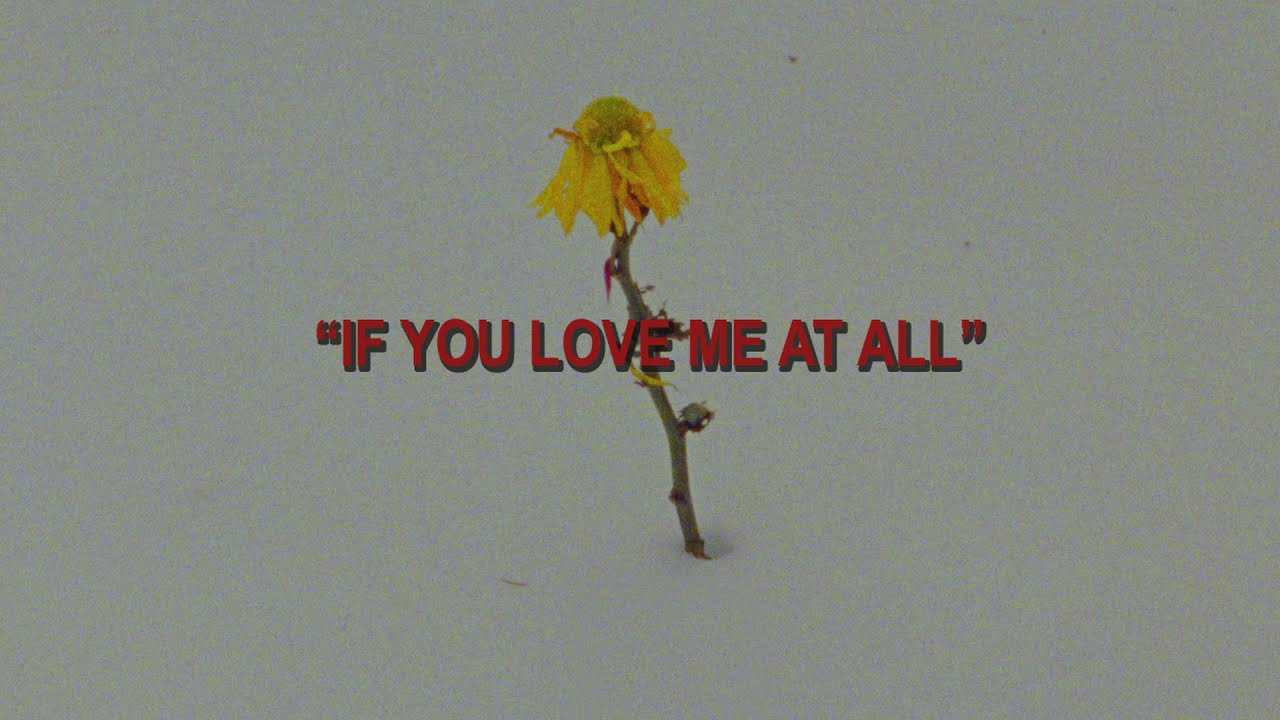 Post Any Content Using Hollyn — "If You Love Me At All" [7588]