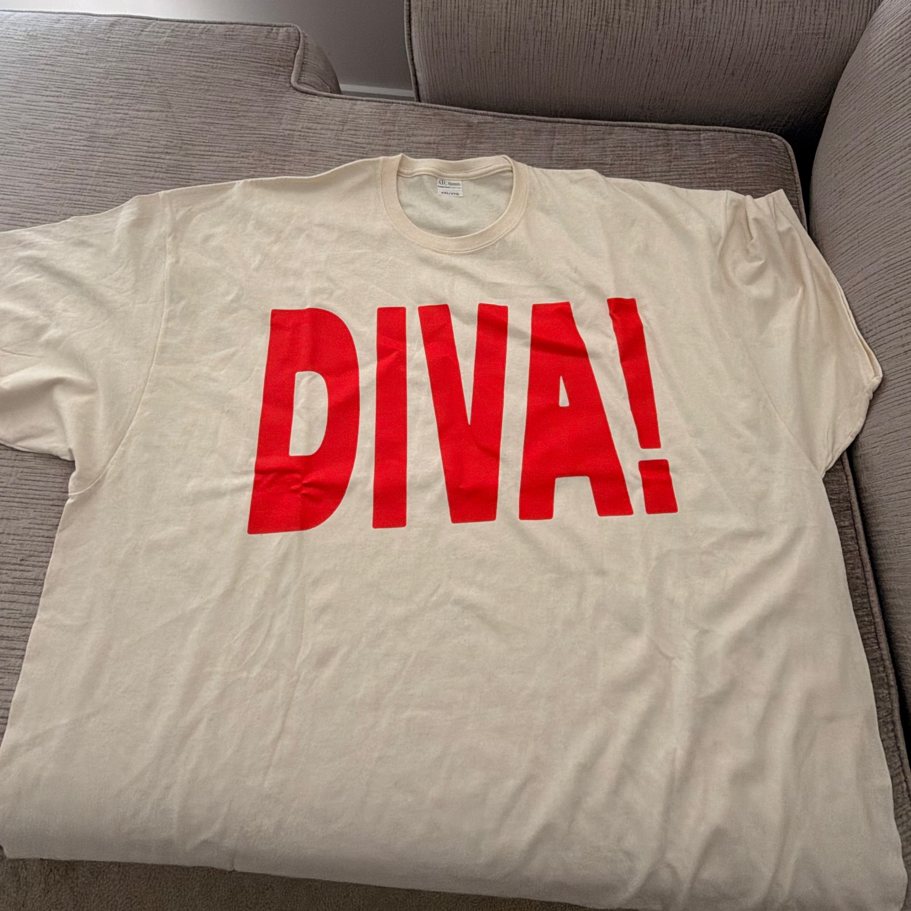 "DIVA!" MUSIC MARKETING CAMPAIGN