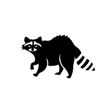 RACCOON.