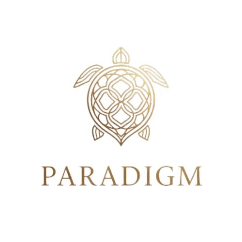 Paradigm Injections